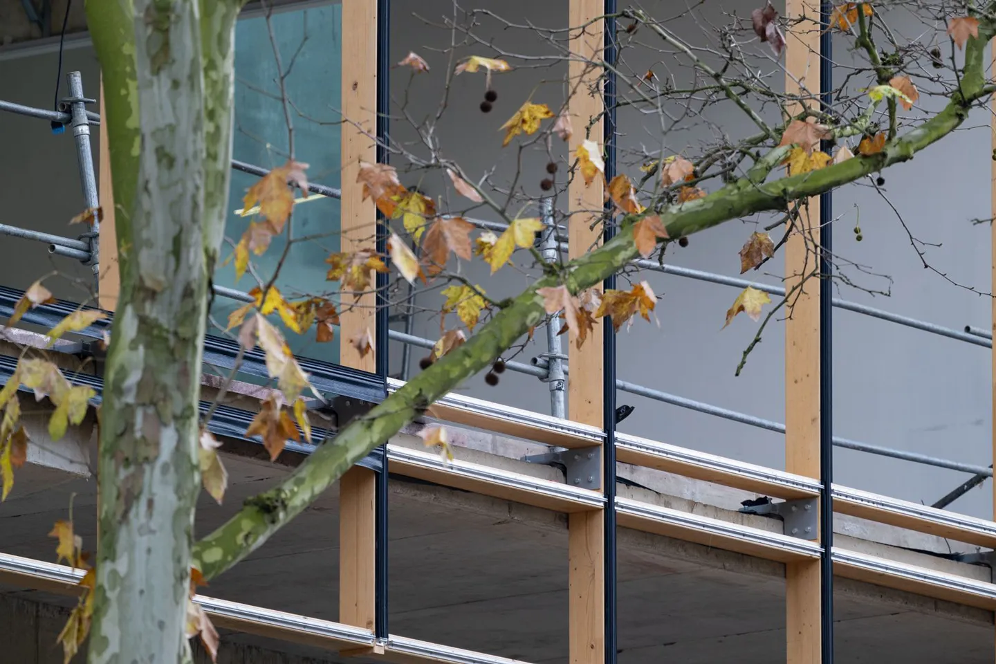 Chantier de l'ancien Espace Tête d'Or